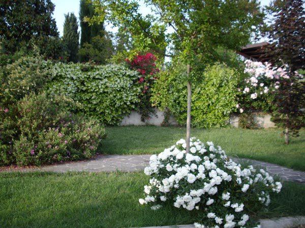 La Magnolia - Bed & Breakfast Fano