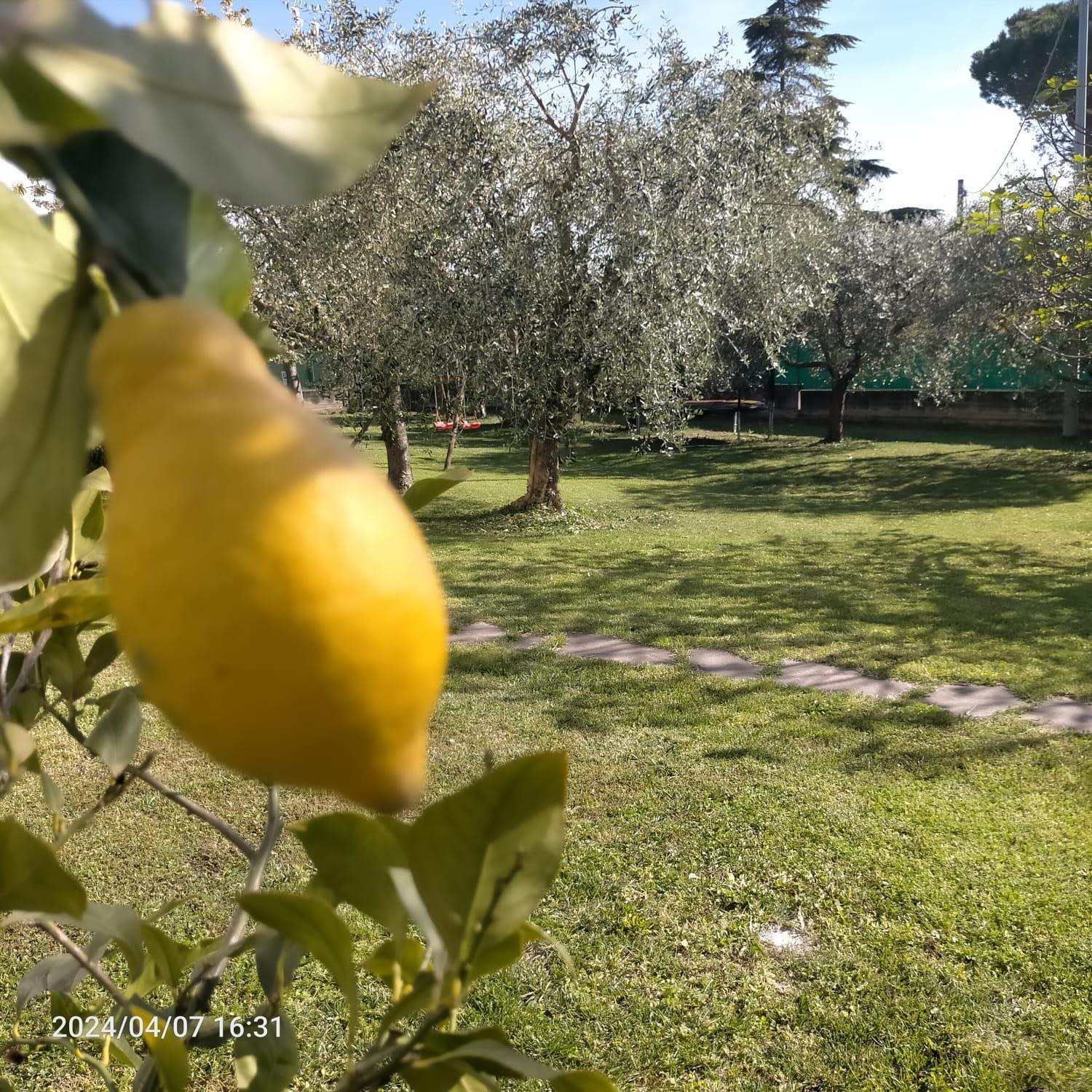 La Magnolia - Bed & Breakfast *
